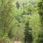Vue du Nord Vercors au printemps 