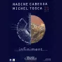 visuel expo "Infiniment" musée Chintreuil Pont de Vaux