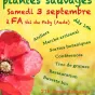 Fete des plantes sauvages