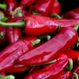 piment d'espelette - © PxHere