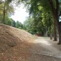 Sol jonché de feuilles dans les jardins de la Garenne à Vannes ©RCF Sud Bretagne