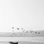 ©Unsplash