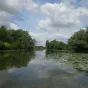 Marais audomarois  © Parc naturel régional des Caps et Marais d’Opale