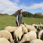 Laurent, éleveur ovin à Coulans sur Gée