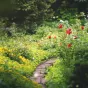 jardin - © Morgane Le Breton via Unsplash