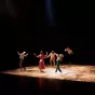 @ La Maison de la Danse - The Valley of human sound