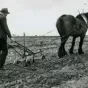 Agriculture manuelle