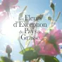 24 producteurs au service de la fleur d'exception