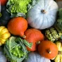 image d'illustration (courges) - © Blair Fraser via Unsplash