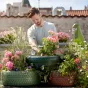 image d'illustration (jardinage) - © Pelargoniums for Europe via Unsplash