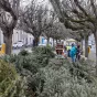 L'opération broyage de sapin de Noël, dans le quartier Saint-Michel, a eu lieu, le 4 janvier.