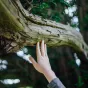 ©Unsplash