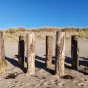 Les pieux installés sur la plage de Gonneville ©RCF Manche