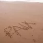 DR 