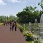 Un projet de forêt de bambous est étudié. (Photo : Alexandre Chemetoff et associés )