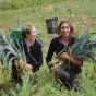 une ferme maraîchère Nature & Progrès à Castelreng