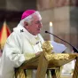 Cardinal Jean-Marc Aveline par ©Robert Poulain