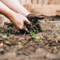 image d'illustration (jardinage) - © Sandie Clarke via Unsplash