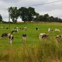 Les exploitations agricoles sont en baisse en France - Photo Wikimedia Commons