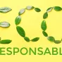 éco responsabilité
