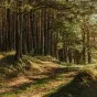 © Irina Iriser sur Unsplash