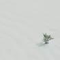 Photo de Jill Heyer sur Unsplash