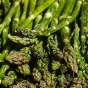 La saison des asperges est ouverte