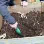 Compost