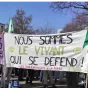 crédit : Manu Viger