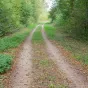 le chemin