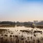 Etang du Grand Birieux ©Conseil départemental Ain