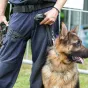 © www.devenir-gendarme.com