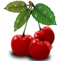cerises © pixabay