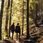 ©Unsplash