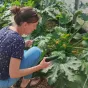 Marie Voland dans la serre du Potager des coquelicots ©Cols Verts Vannes