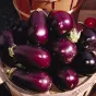 Aubergines