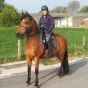 Aurélie Houbiers et son cheval Camaro, tous droits réservés