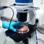 image d'illustration (microscope) - © ThisisEngineering RAEng via Unsplash