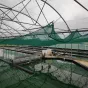Bassin spiruline © Spiruline du Doubs