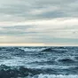Les océans atteignent des températures historiques jusqu’à 20,96 degrés selon Copernicus. ©Ant Rozetsky / Unsplash