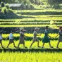 Sasin Tipchai