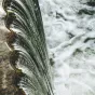© Artur Roman / Pexels