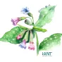 ©Atelier Nature & Territoires