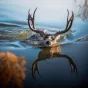 Creekbedphotography