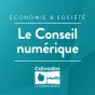 Le conseil numérique