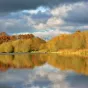 La Sologne !