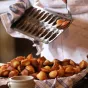 Madeleine