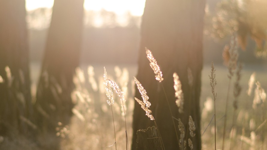 michal-bielejewski-UNSPLASH