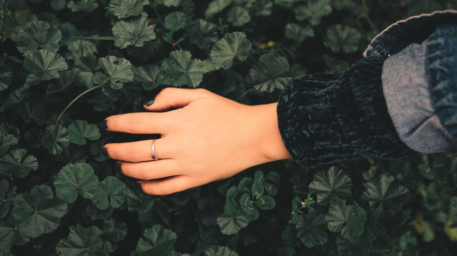 Anton Darius theSollers / Unsplash - 