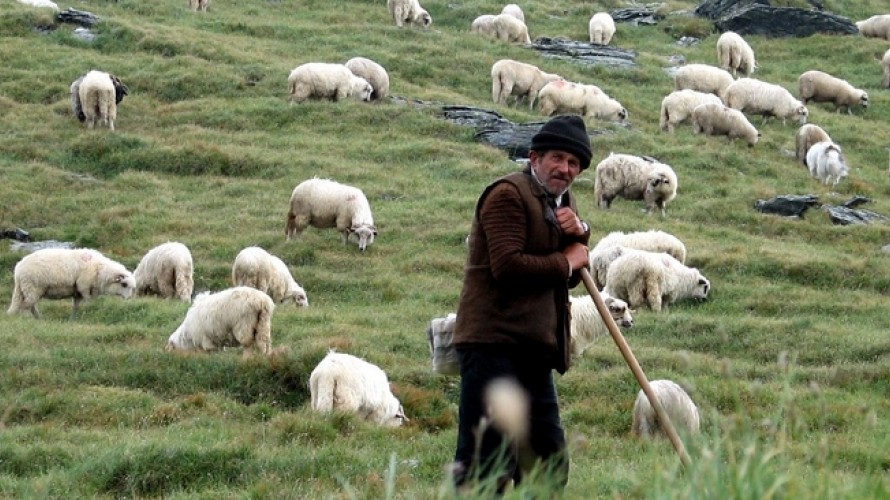 Les bergers sont à l'époque les petits par excellence, considérés comme impurs ©Wikimedia Common
